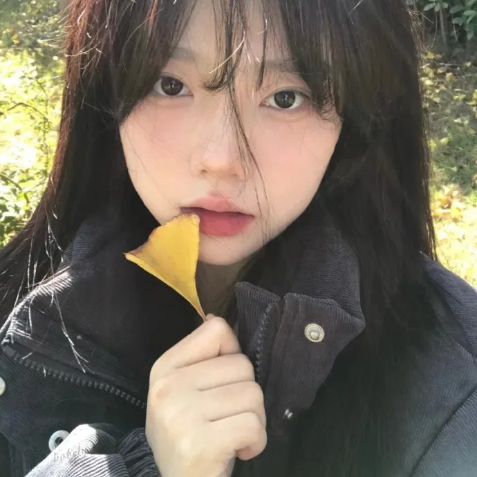 学校里的疯子第五季